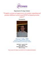NYU Langone Medical Center Department of Urology Seminar, Presented by Zoran Culig, M.D. (April 9, 2012)