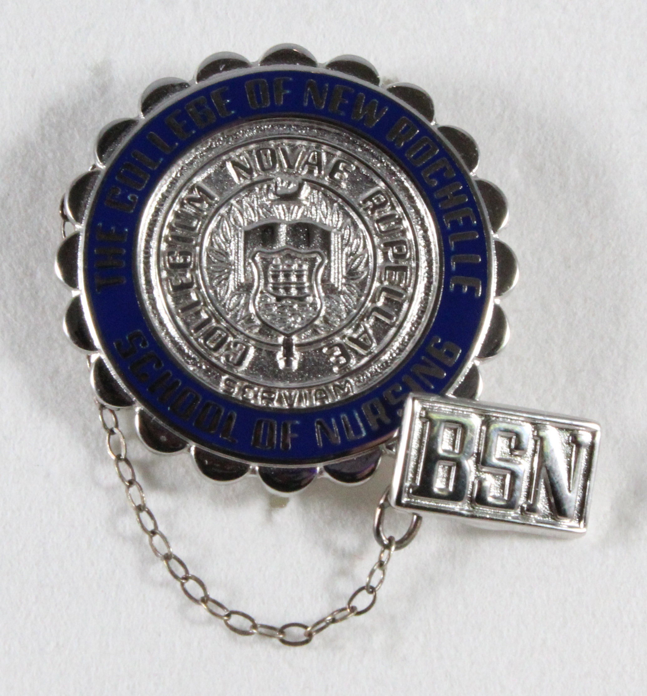 College of New Rochelle. Nursing Pin