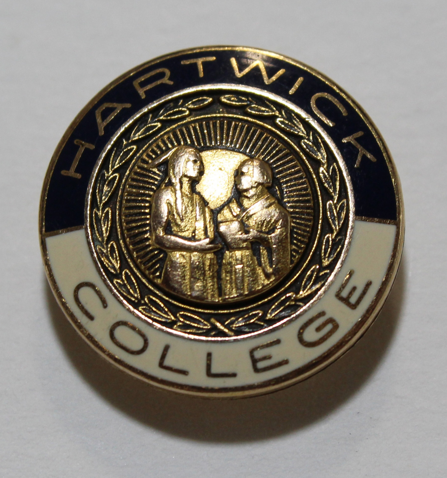 Hartwick College Nursing Pin