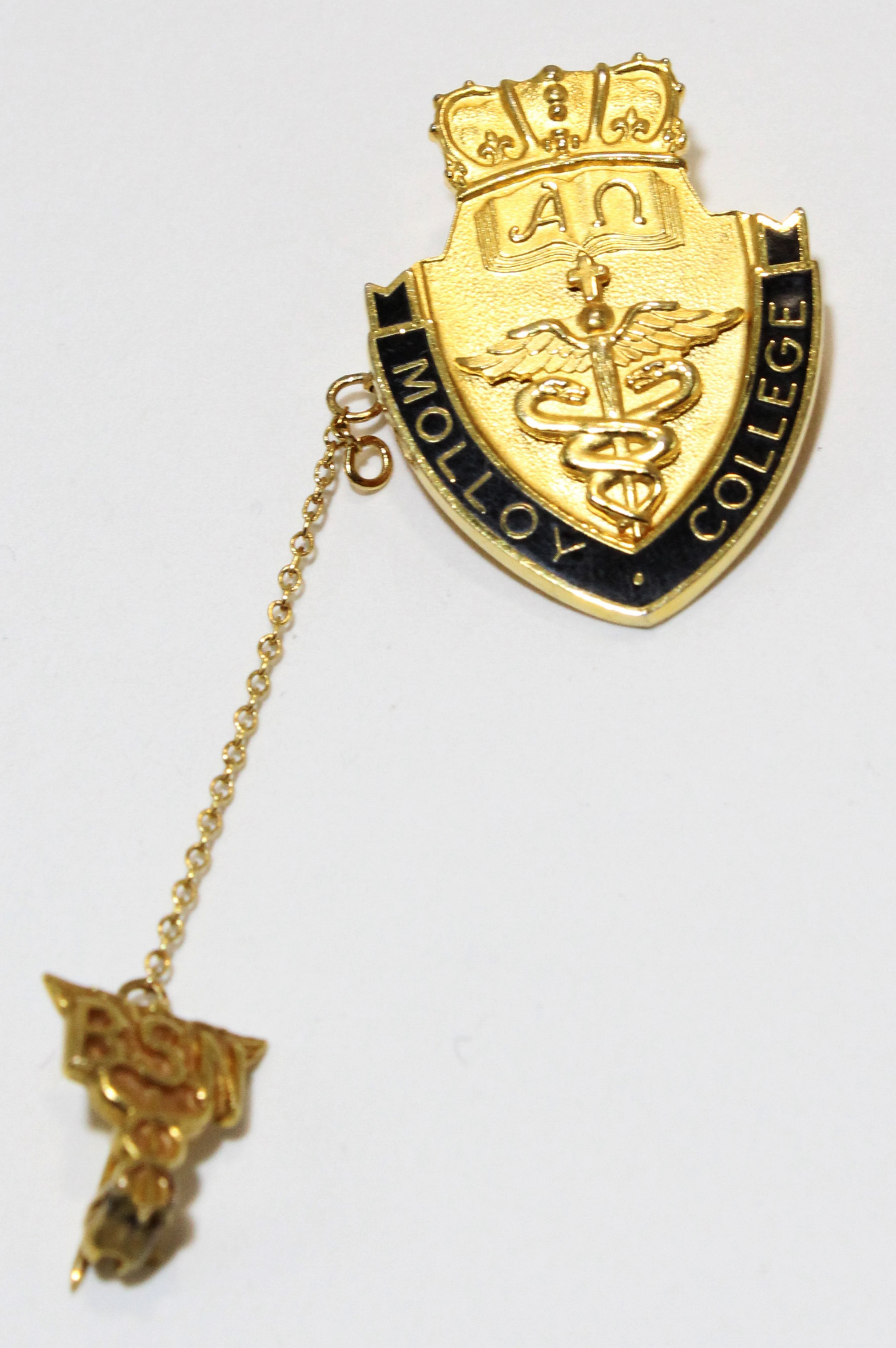 Molloy University Nursing Pin