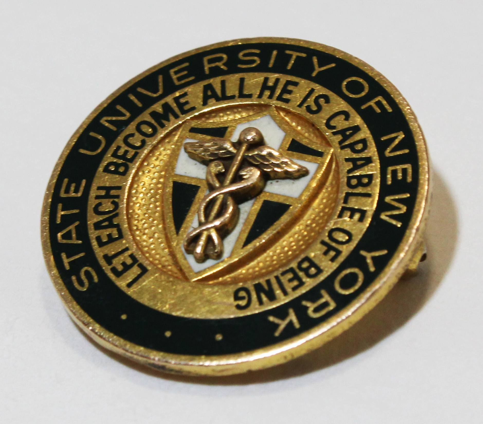 Farmingdale State College. Santmann School of Health Sciences Nursing Pin