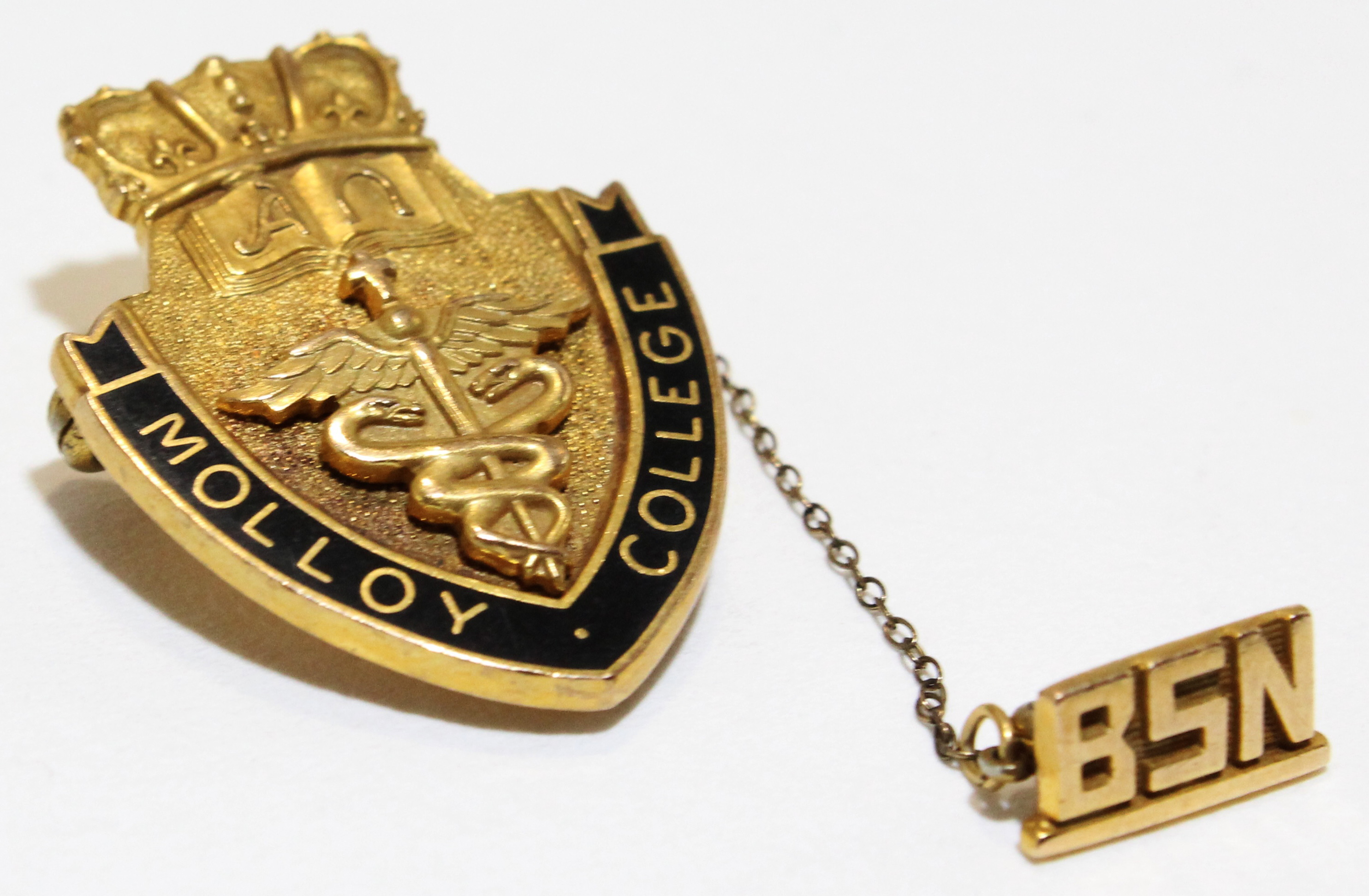 Molloy College Nursing Pin