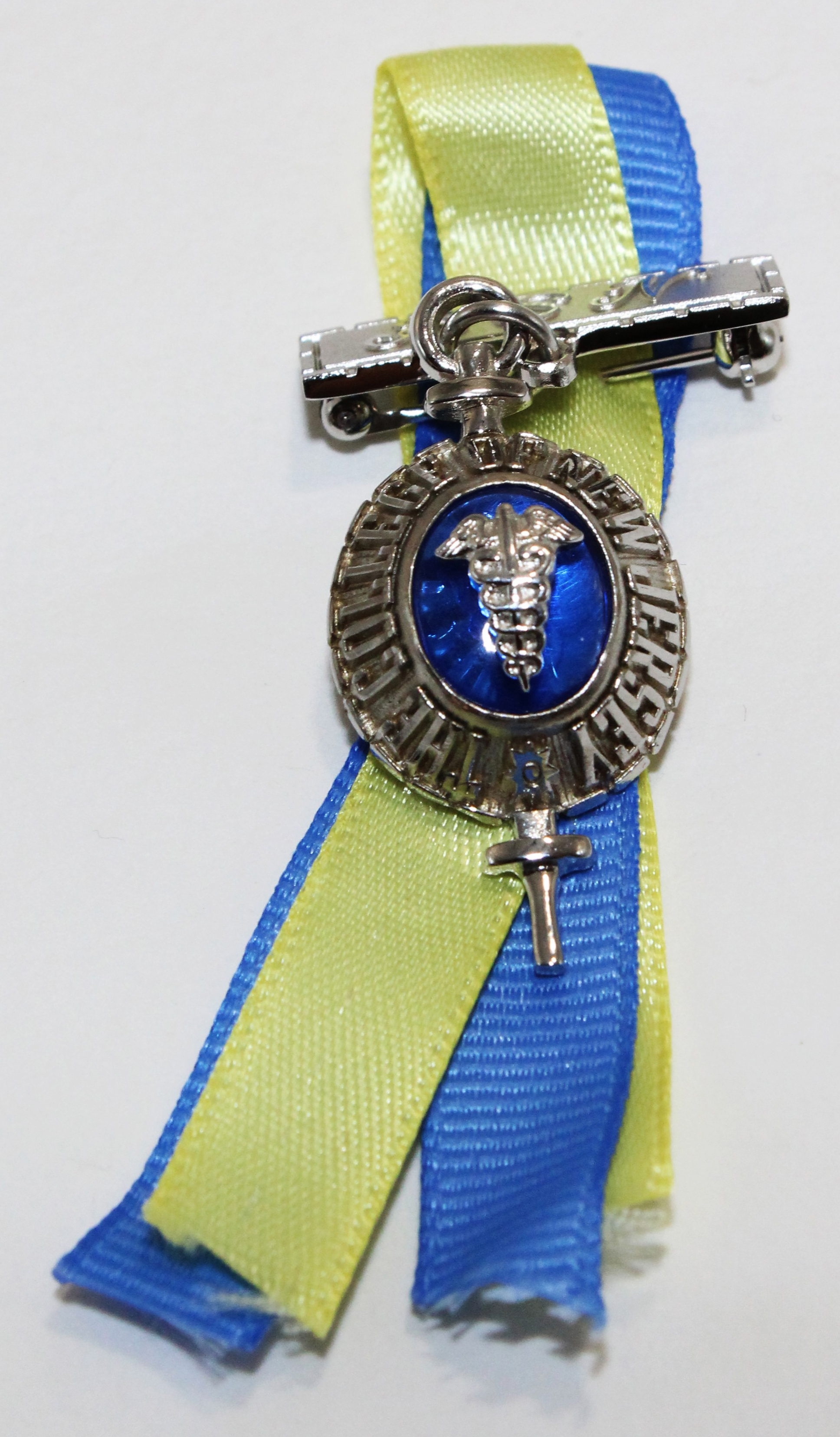 College of New Jersey Nursing Pin