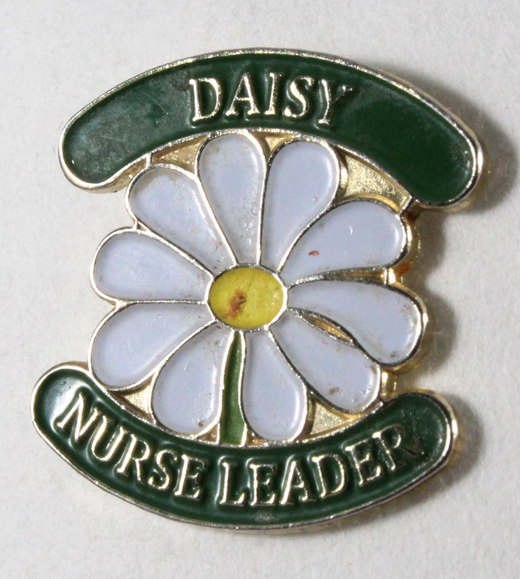 Daisy Foundation. Daisy Nurse Leader Pin
