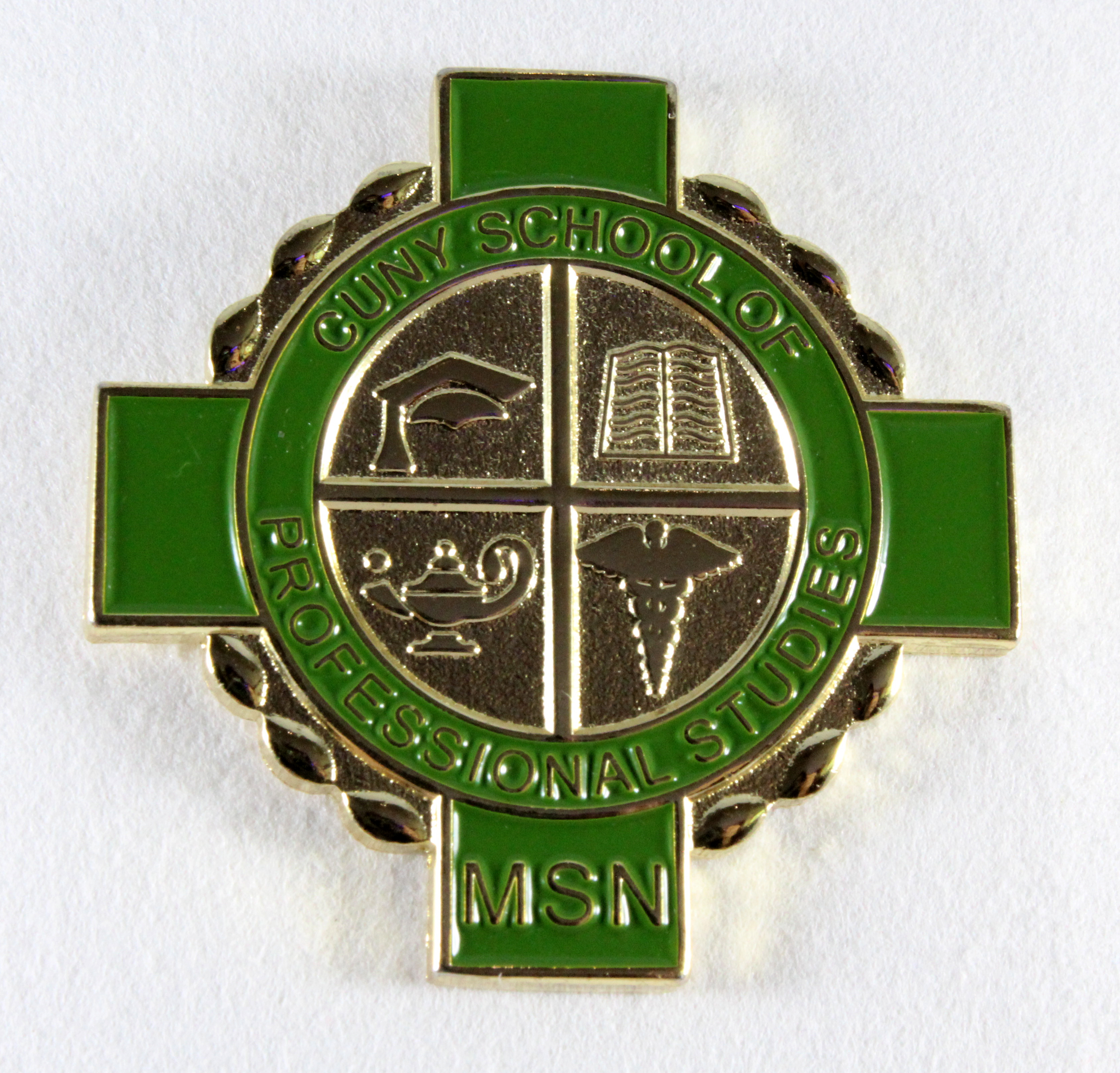 City University of New York. School of Professional Studies. Nursing Pin.
