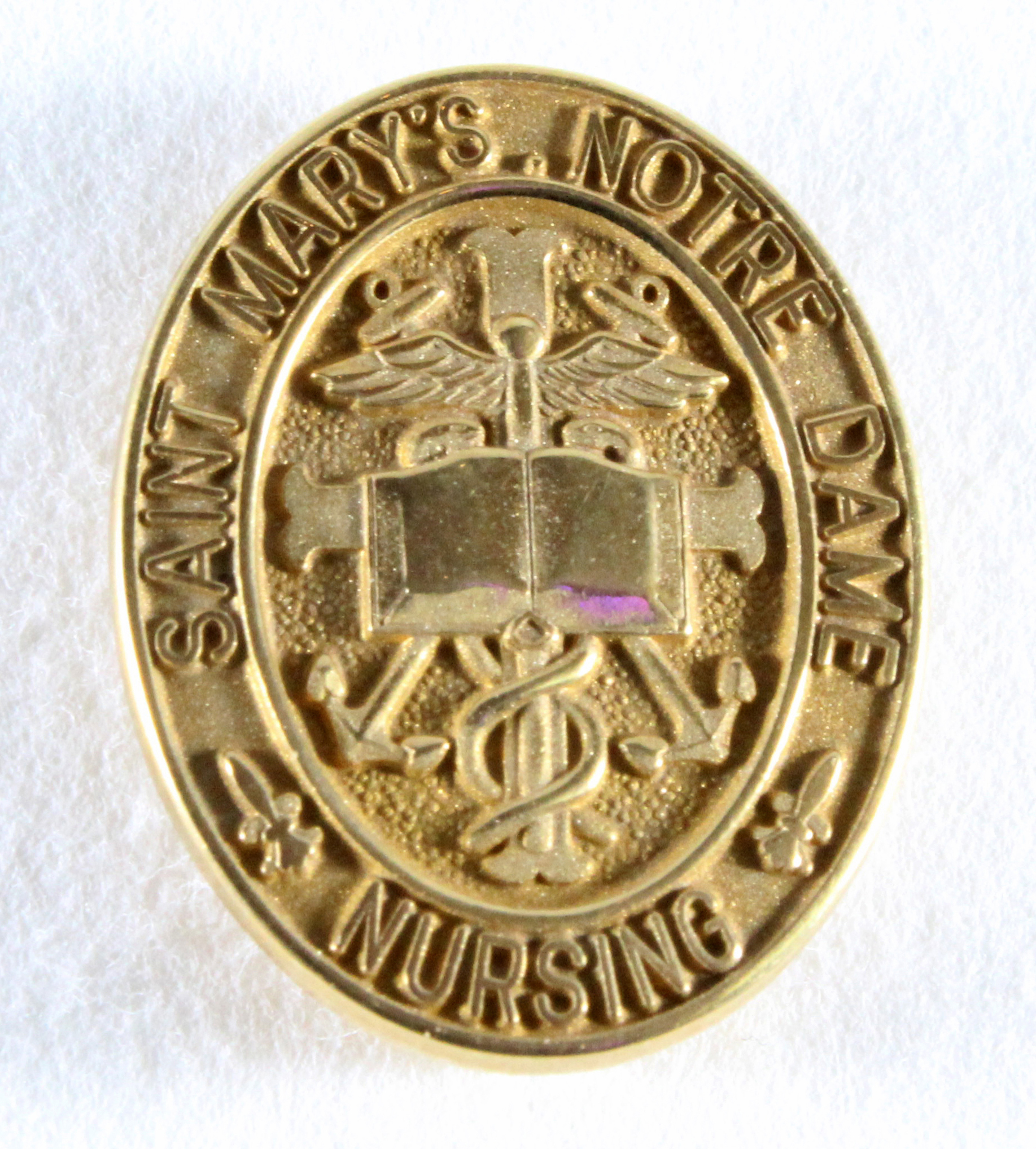 Saint Mary's College. Nursing Pin