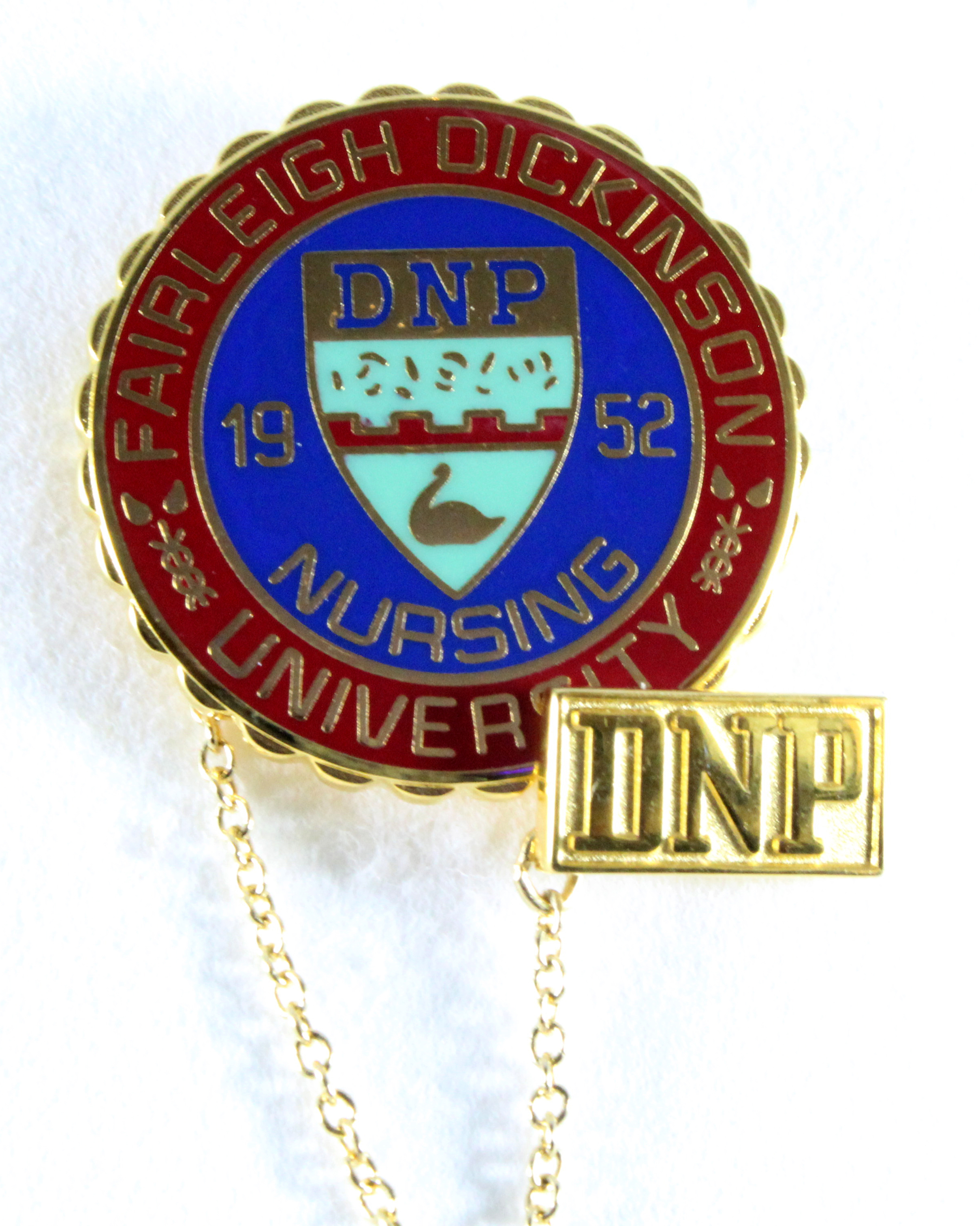 Fairleigh Dickinson University. Nursing Pin