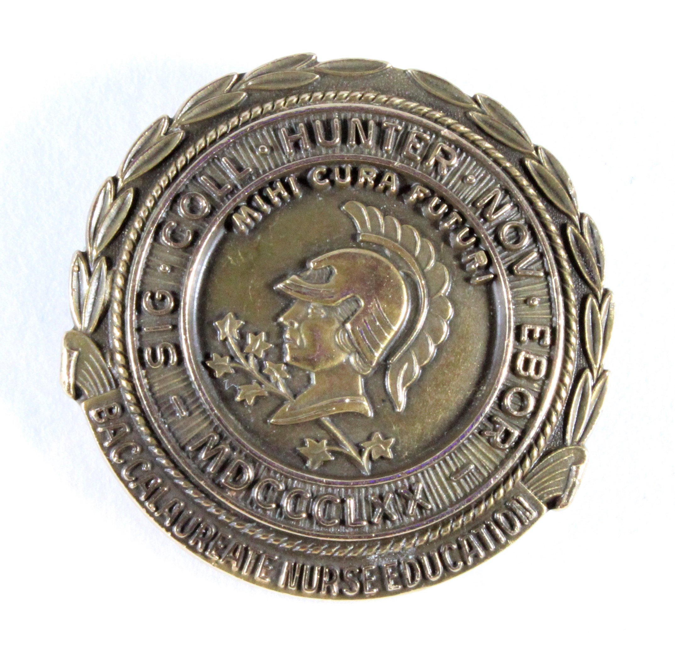 Hunter College Bellevue School of Nursing. Nursing Pin