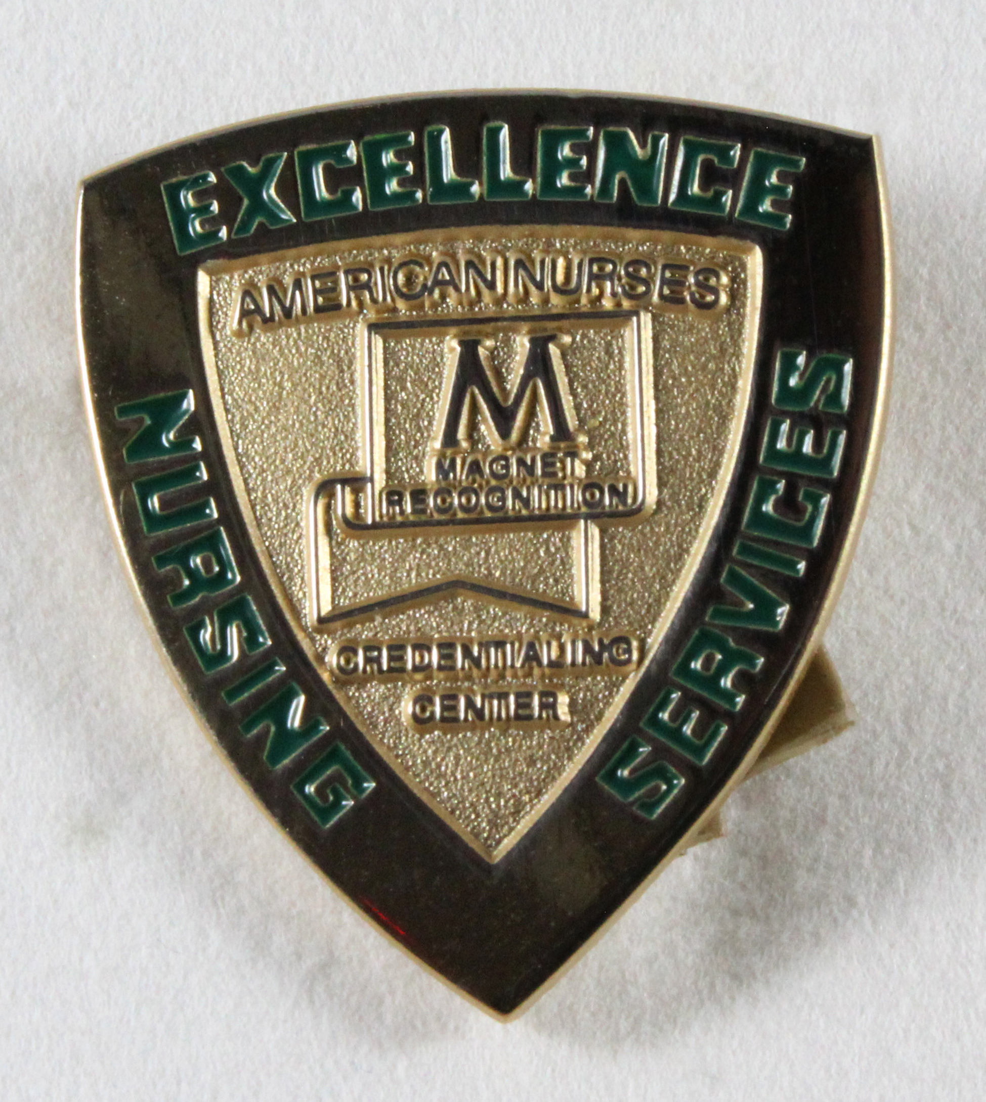 NYU College of Nursing. Nursing Pin